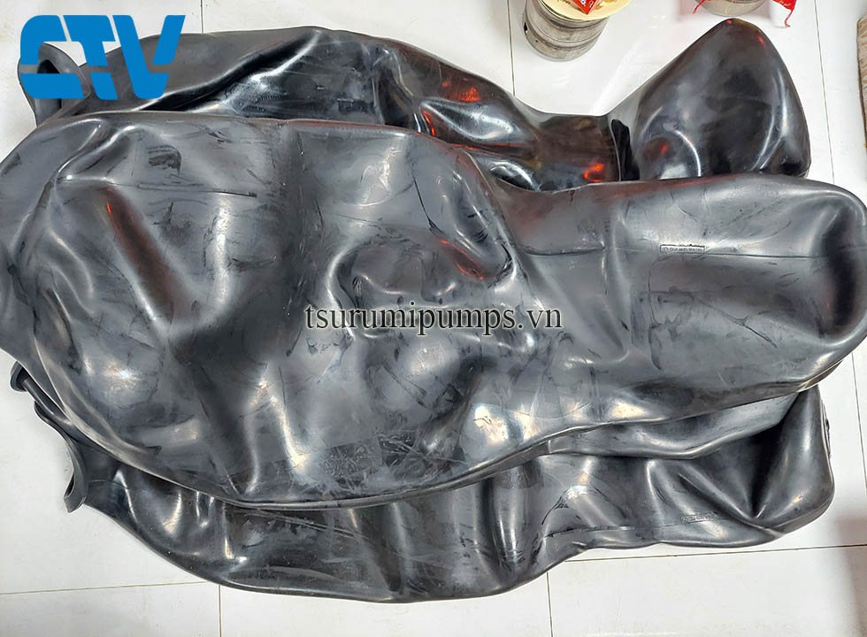 Những Vấn Đề Thường Gặp Và Cách Khắc Phục Ruột Bình Tích Áp Máy Bơm Nước